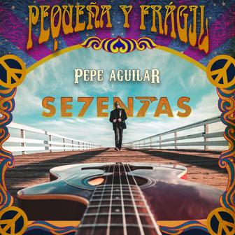 Pequeña y Frágil - Single