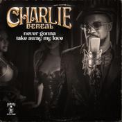Never Gonna Take Away My Love - Single