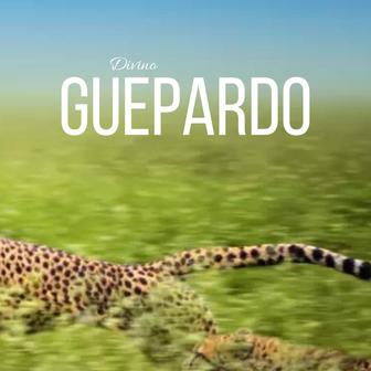 Guepardo - Single