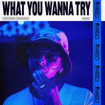 What You Wanna Try [Kooldrink (Amapiano) Remix]