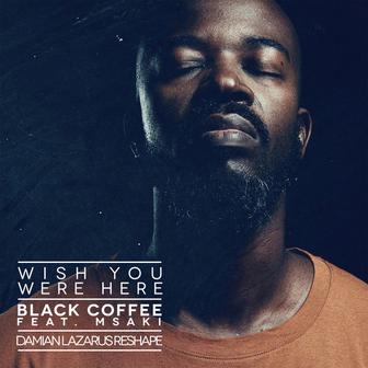 Wish You Were Here (feat. Msaki) [Damian Lazarus Re-Shape]