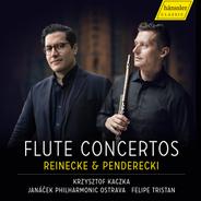 Concerto for Flute and Chamber Orchestra: Andante