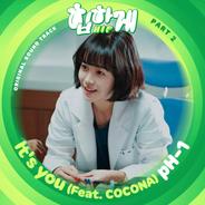 It's you (Feat. COCONA) (Inst.)