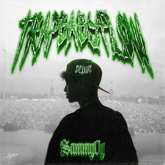 trapbabyflow (deluxe)
