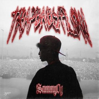 trapbabyflow