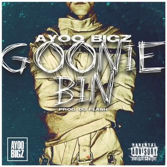 GOONIE BIN