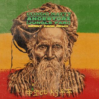 Ancestorz (Jungle Fari) [Benny Page Remixes]