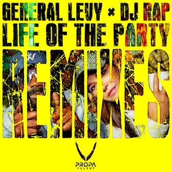 Life Of The Party DJ Rap Jungle Mix Remix