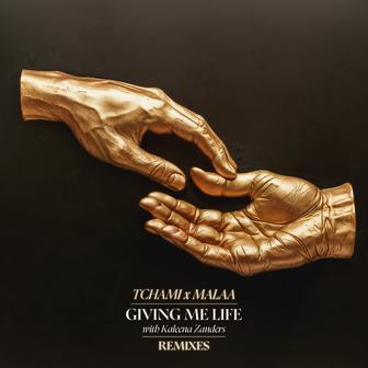Giving Me Life (TS7 Remix)