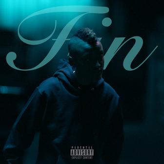 Fin