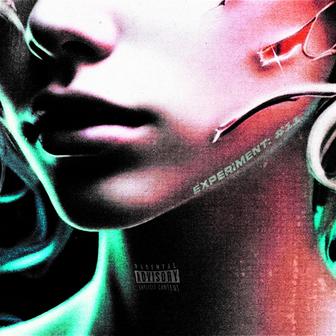 experiment011 (v2)
