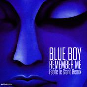 Remember Me (Fedde Le Grand Remix)
