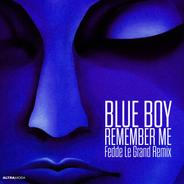 Remember Me - Fedde Le Grand Remix
