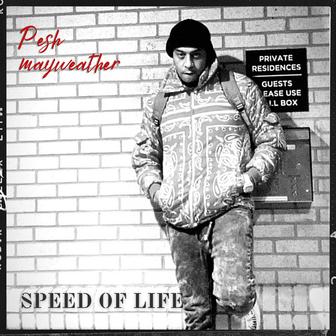 Speed Of Life