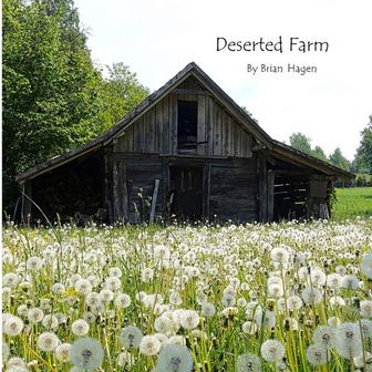 10 Woodland Sketches, Op. 51: No. 8, Deserted Farm
