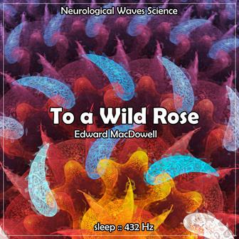 Sleep: To a Wild Rose, 432Hz