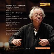 Ich habe genug, BWV 82: No. 4, Mein Gott! Wenn kömmt das schöne. Nun!