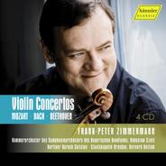 Violin Concerto No. 2 in E Major, BWV 1042: III. Allegro assai