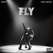 FLY