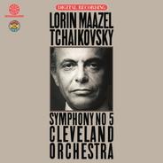 Symphony No. 5 in E Minor, Op. 64: II. Andante cantabile, con alcuna licenza