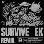 Survive (feat. B-Free) - HE KIM, BLOSSO Remix