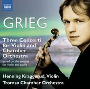 Violin Sonata No. 2 in G Major, Op. 13: III. Allegro animato (Arr. H. Kraggerud & B.S. Lund)
