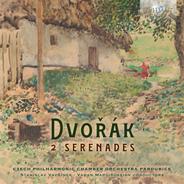 Serenade for Strings in E Major, Op. 22: V. Finale. Allegro Vivace