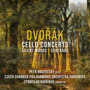 Serenade for Strings in E Major, Op. 22: III. Scherzo. Vivace