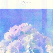 Azalea - Single
