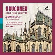 Bruckner's Welt: Kapitel 3: Chormeister Bruckner