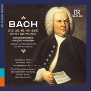 Die Geheimnisse der Harmonie, Chapter 4 "Durchlauchtester Leopold": Sei Solo