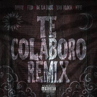 Te Colaboro (Remix)