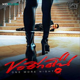 ขออีกคืน (One More Night)