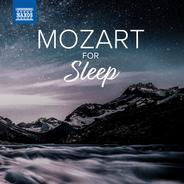 Piano Sonata No. 17 in B-Flat Major, K. 570: II. Adagio