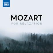 String Quartet No. 15 in D Minor, K. 421: Ii. Andante
