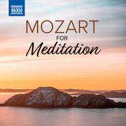 Piano Concerto No. 12 in A Major, K. 414: Ii. Andante