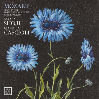 Mozart: Sonata for Piano and Violin in B-Flat Major, K. 454: III. Allegretto