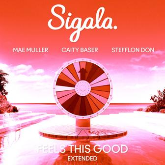 Feels This Good (feat. Stefflon Don) [Extended]