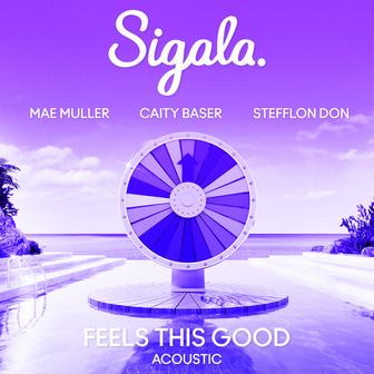 Feels This Good (feat. Stefflon Don) [Acoustic]