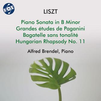 Liszt: Piano Works
