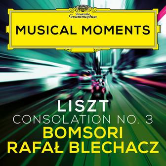 Liszt: Consolations, S. 172: No. 3 Lento placido in D Flat Major (Transcr. Milstein for Violin and Piano) [Musical Moments]