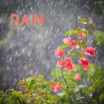Rain (Remastered 2023)