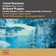 Symphony No. 3 in D Minor, WAB 103 "Wagner": I. Mäßig bewegt