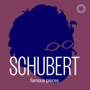 Fantasy in C Major, Op. 159, D. 934: I. Andante molto