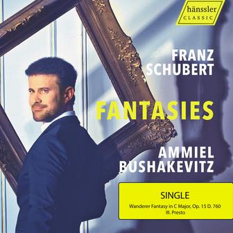Wanderer Fantasy in C Major, Op. 15, D. 760: III. Presto
