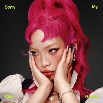 Sorry My Honey