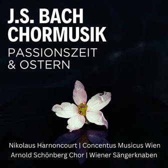 J. S. Bach: Chormusik zur Passionszeit & Ostern ; Matthäuspassion ; Johannespassion