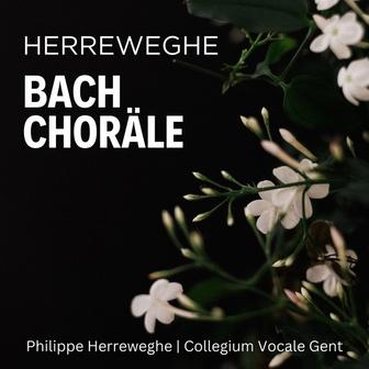 Herreweghe: Bach Choräle