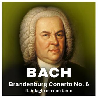 Bach: Brandenburg Concerto No. 6 - II. Adagio ma non tanto (Excerpt)