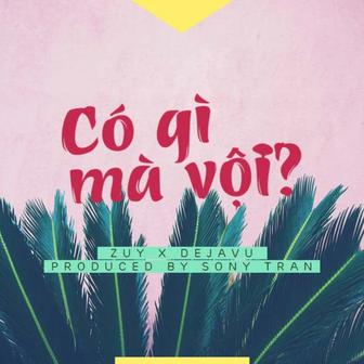Có Gì Mà Vội